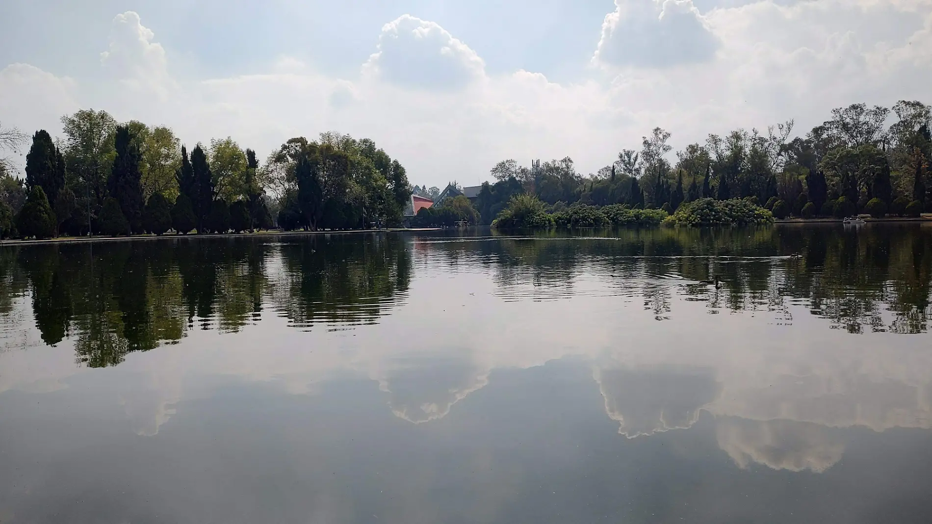 Bosque de Chapultepec: Conoce el tour que recorre los 12 parques de este sitio